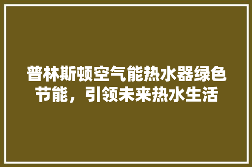 普林斯顿空气能热水器绿色节能，引领未来热水生活