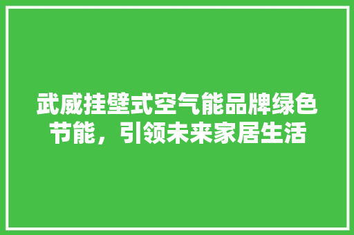 武威挂壁式空气能品牌绿色节能，引领未来家居生活