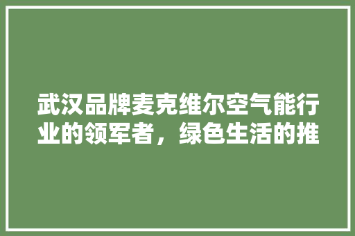 武汉品牌麦克维尔空气能行业的领军者，绿色生活的推动者