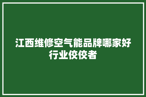 江西维修空气能品牌哪家好行业佼佼者