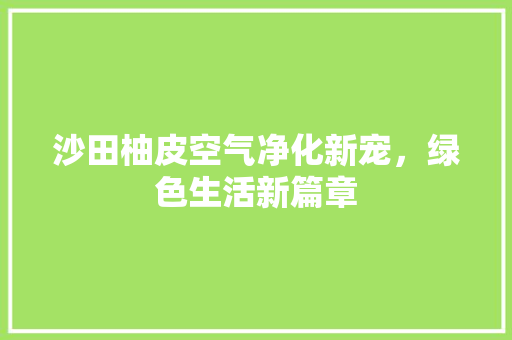 沙田柚皮空气净化新宠，绿色生活新篇章