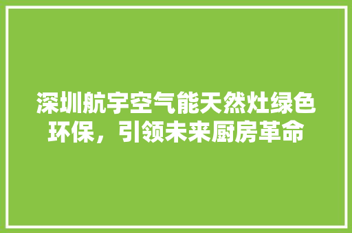 深圳航宇空气能天然灶绿色环保，引领未来厨房革命