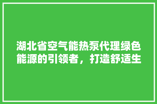 湖北省空气能热泵代理绿色能源的引领者，打造舒适生活新风尚 综合便民