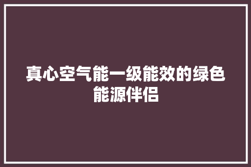 真心空气能一级能效的绿色能源伴侣