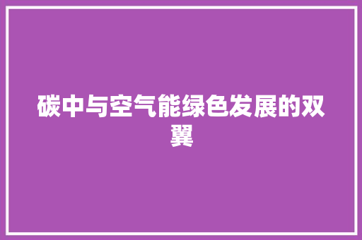 碳中与空气能绿色发展的双翼