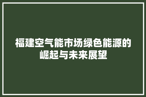福建空气能市场绿色能源的崛起与未来展望 家电维修