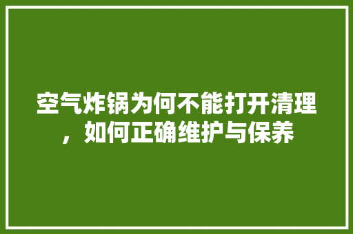 空气炸锅为何不能打开清理，如何正确维护与保养