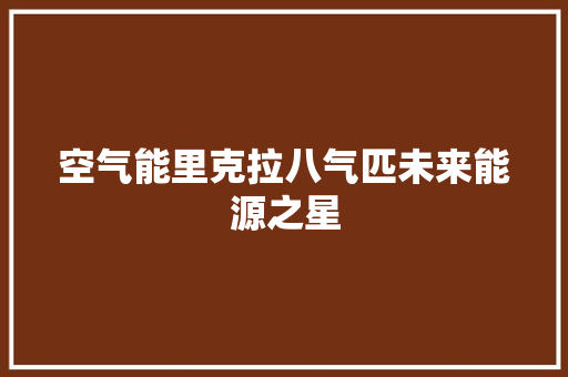 空气能里克拉八气匹未来能源之星