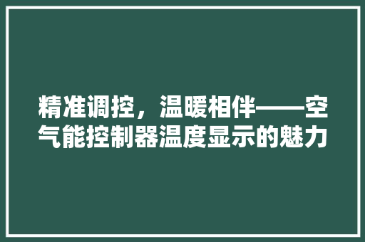 精准调控，温暖相伴——空气能控制器温度显示的魅力 墙体维修