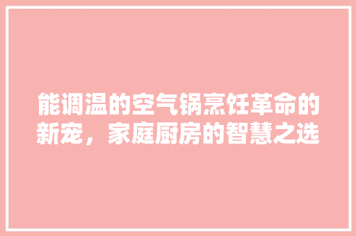 能调温的空气锅烹饪革命的新宠，家庭厨房的智慧之选