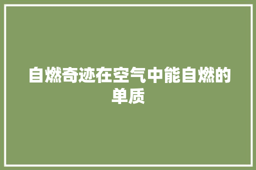 自燃奇迹在空气中能自燃的单质