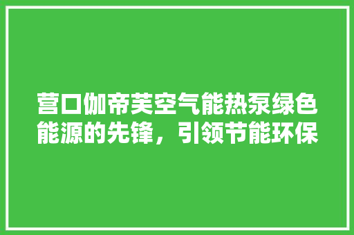 营口伽帝芙空气能热泵绿色能源的先锋，引领节能环保新潮流