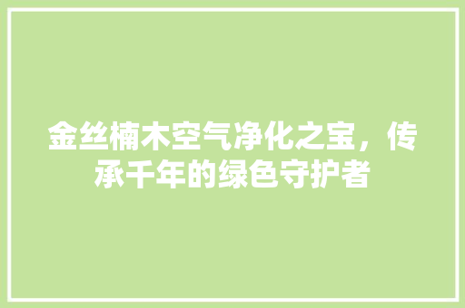 金丝楠木空气净化之宝，传承千年的绿色守护者