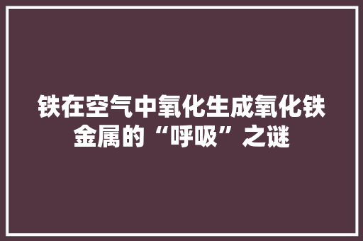 铁在空气中氧化生成氧化铁金属的“呼吸”之谜