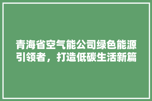 青海省空气能公司绿色能源引领者，打造低碳生活新篇章