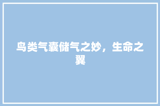 鸟类气囊储气之妙，生命之翼