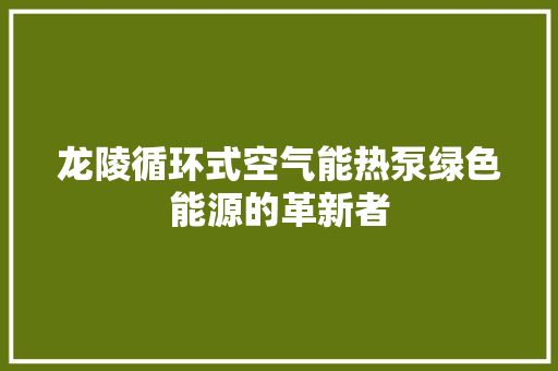 龙陵循环式空气能热泵绿色能源的革新者