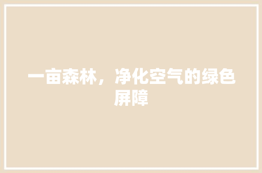 一亩森林，净化空气的绿色屏障