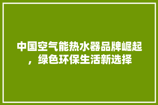 中国空气能热水器品牌崛起，绿色环保生活新选择