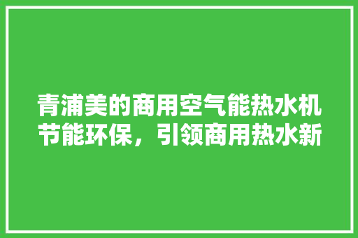 青浦美的商用空气能热水机节能环保，引领商用热水新时代