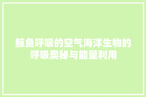 鲸鱼呼吸的空气海洋生物的呼吸奥秘与能量利用 综合便民