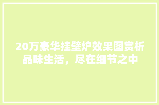 20万豪华挂壁炉效果图赏析品味生活，尽在细节之中 家电维修