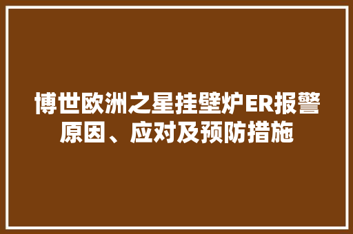 博世欧洲之星挂壁炉ER报警原因、应对及预防措施 墙体维修