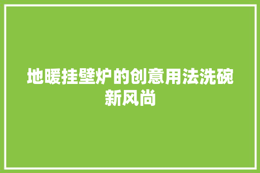 地暖挂壁炉的创意用法洗碗新风尚