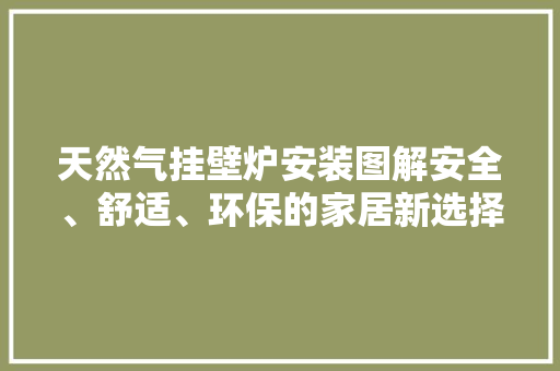 天然气挂壁炉安装图解安全、舒适、环保的家居新选择