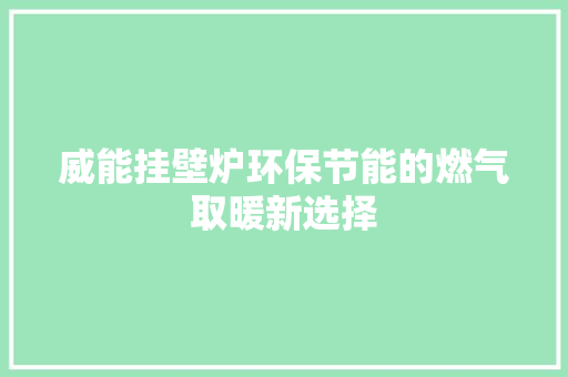 威能挂壁炉环保节能的燃气取暖新选择