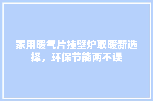 家用暖气片挂壁炉取暖新选择，环保节能两不误