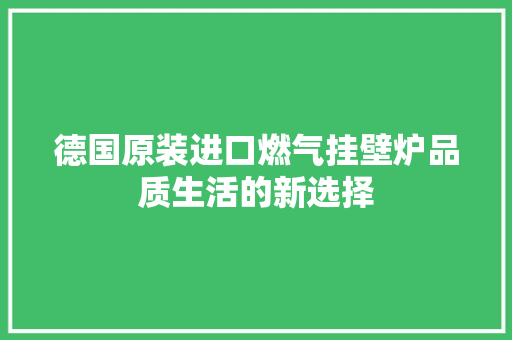 德国原装进口燃气挂壁炉品质生活的新选择
