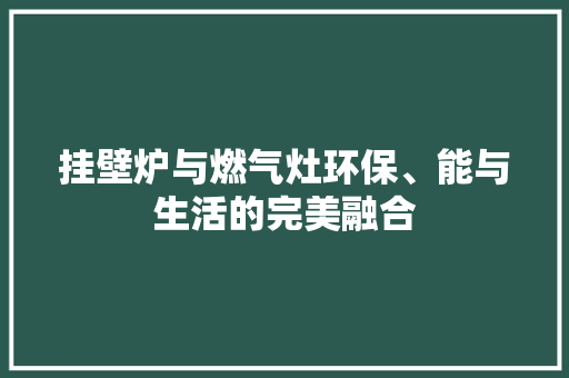 挂壁炉与燃气灶环保、能与生活的完美融合