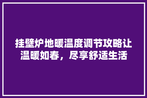 挂壁炉地暖温度调节攻略让温暖如春，尽享舒适生活