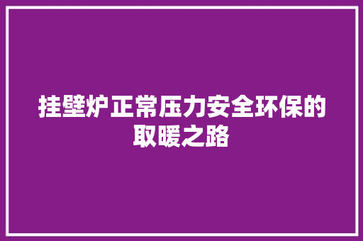 挂壁炉正常压力安全环保的取暖之路