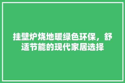 挂壁炉烧地暖绿色环保，舒适节能的现代家居选择