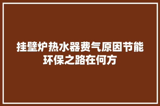 挂壁炉热水器费气原因节能环保之路在何方