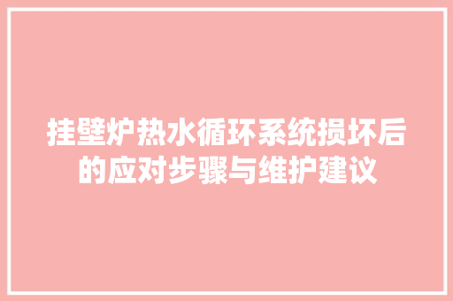 挂壁炉热水循环系统损坏后的应对步骤与维护建议