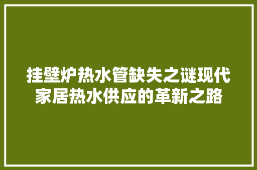挂壁炉热水管缺失之谜现代家居热水供应的革新之路