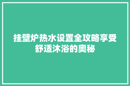 挂壁炉热水设置全攻略享受舒适沐浴的奥秘