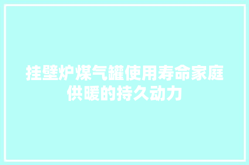 挂壁炉煤气罐使用寿命家庭供暖的持久动力