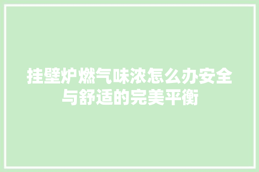 挂壁炉燃气味浓怎么办安全与舒适的完美平衡