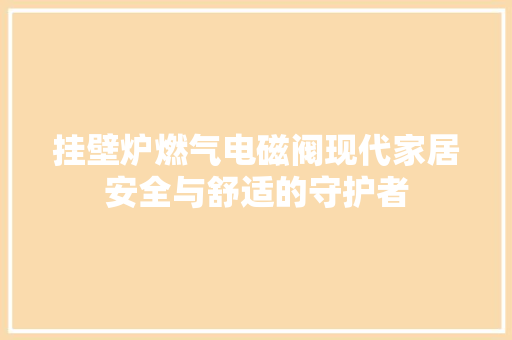 挂壁炉燃气电磁阀现代家居安全与舒适的守护者