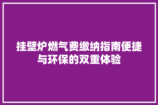 挂壁炉燃气费缴纳指南便捷与环保的双重体验