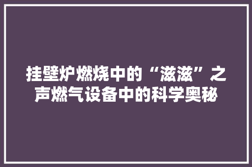 挂壁炉燃烧中的“滋滋”之声燃气设备中的科学奥秘