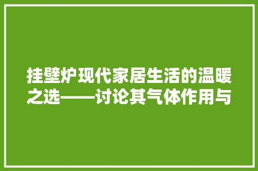 挂壁炉现代家居生活的温暖之选——讨论其气体作用与环保优势