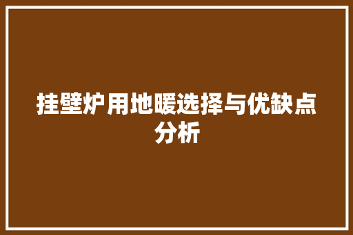 挂壁炉用地暖选择与优缺点分析