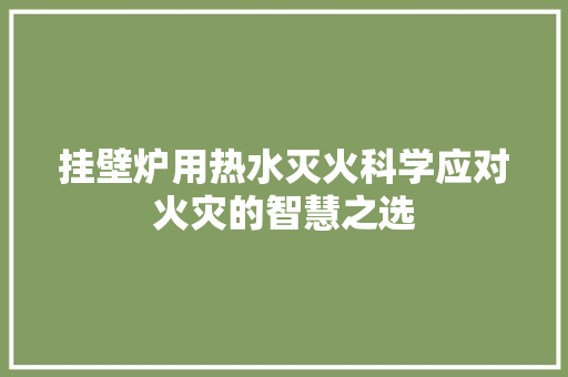 挂壁炉用热水灭火科学应对火灾的智慧之选