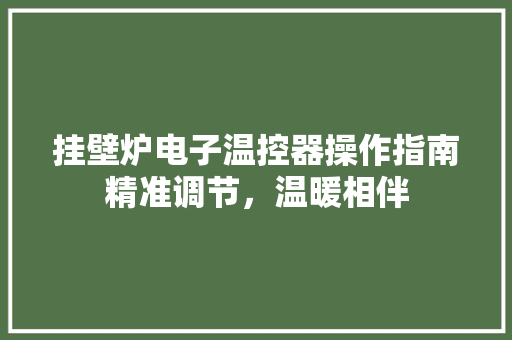挂壁炉电子温控器操作指南精准调节，温暖相伴