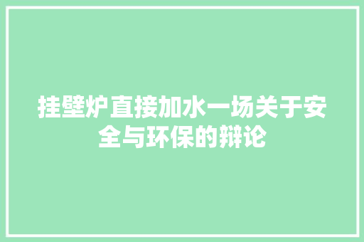 挂壁炉直接加水一场关于安全与环保的辩论